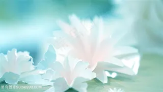 小清新蓝色背景下的纸花高清图