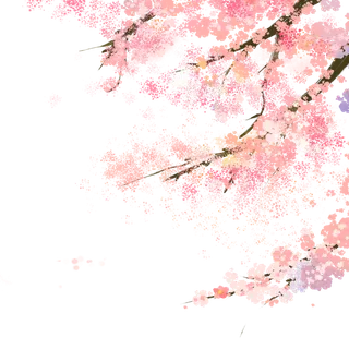 春天浪漫粉红色樱花手绘樱花梅花桃花花朵图片PNG免扣素材