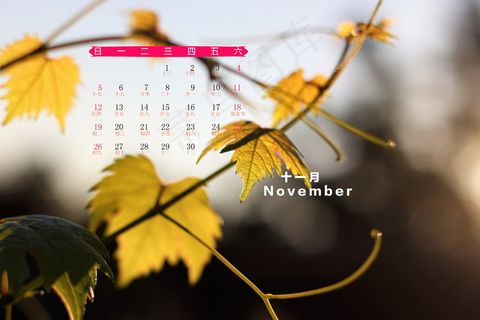 2017年11月日历带农历 2017年11月日历带农历
