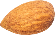 01_Almond