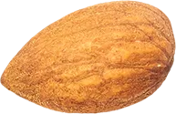 01_Almond