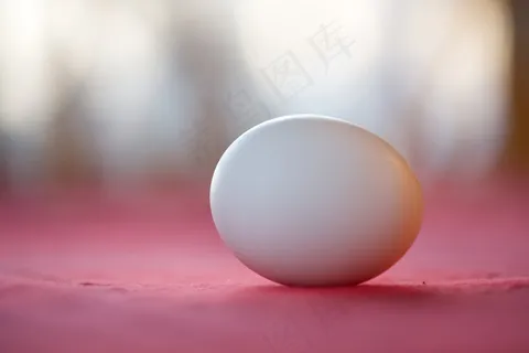 一个白鸡蛋图片 一个白鸡蛋图片
