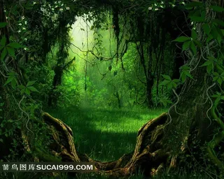 梦幻唯美森林树林