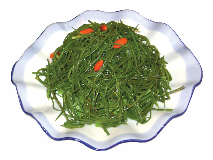 沙葱