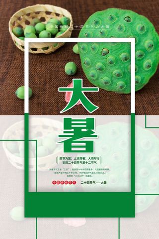 传统节气大暑海报