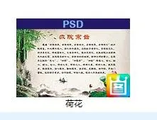 荷花写真布psd模版下载