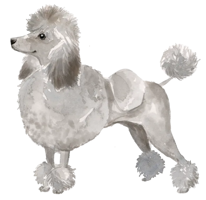 狗狗水彩画插画免扣素材可爱宠物狗