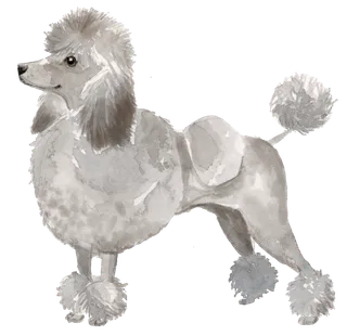 狗狗水彩画插画免扣素材可爱宠物狗