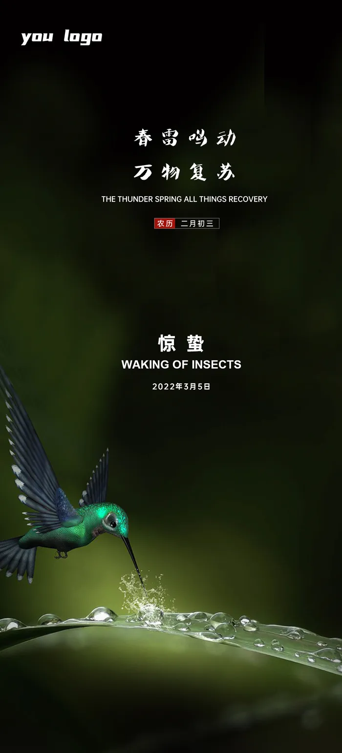 惊蛰节气海报设计PSD素材psd模版下载