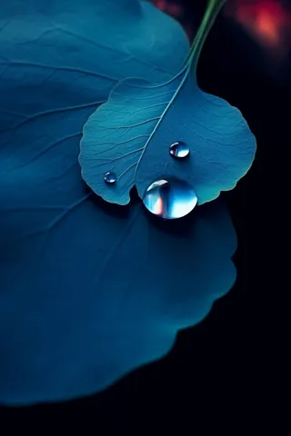 蓝色荷叶意境水珠背景