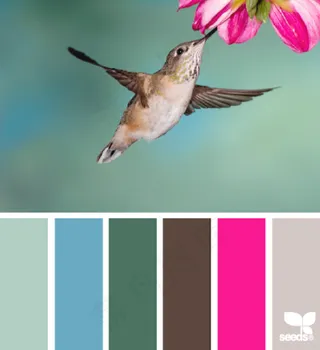 家禽鸟类配色色卡色彩搭配