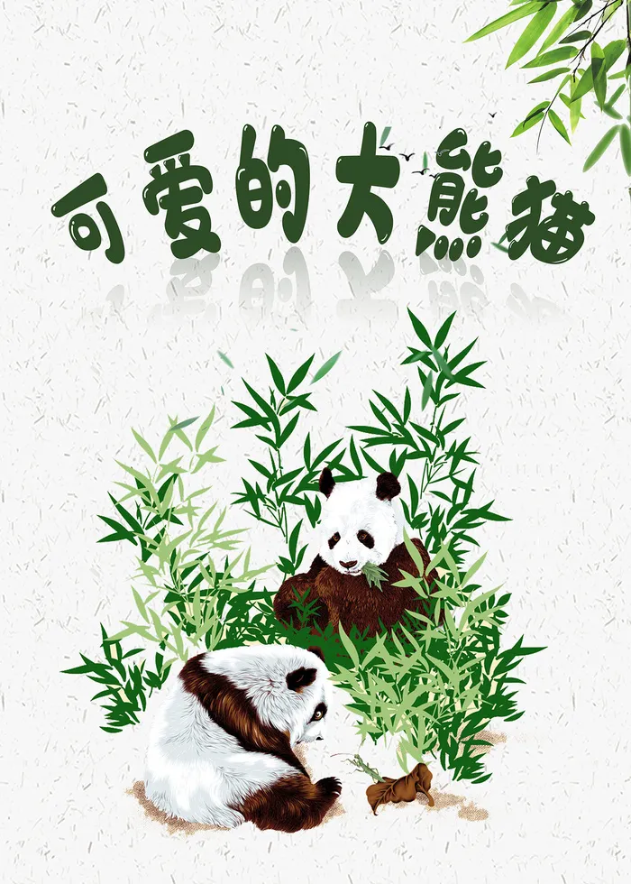 简约可爱的大熊猫知识海报
