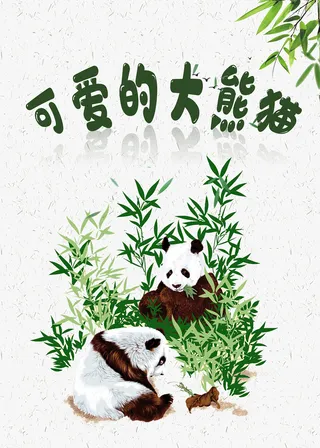 简约可爱的大熊猫知识海报