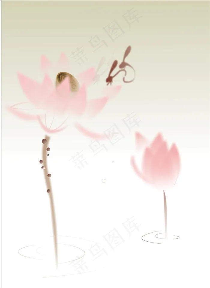 荷花蜻蜓点水