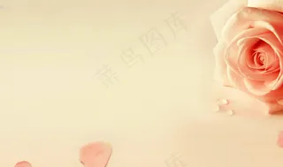 暖色系ppt背景图片