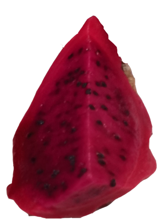 单块切好的红心火龙果果切免扣实物实拍摄影元素素材