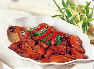 0806C-109大葱烧野鸭