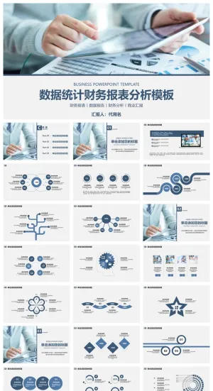 蓝色账务数据统计分析