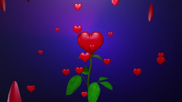 花, 心, 爱, 浪漫, 浪漫的, 玫瑰, 美丽的, 开花