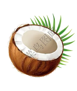 椰果，椰果肉矢量图