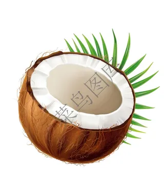 椰果，椰果肉矢量图