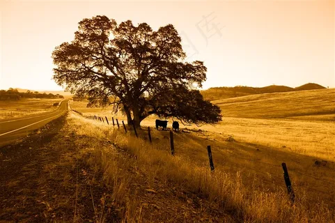 秋季草原大自然田园风光高清图片