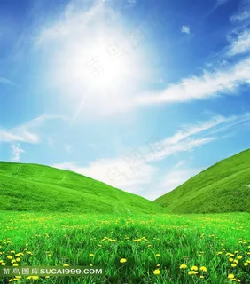 草地草原小花天空素材风景图片下载