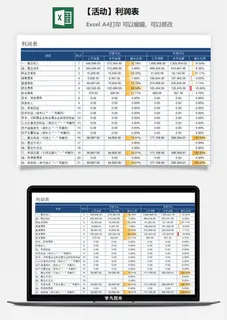 【618活动】利润表