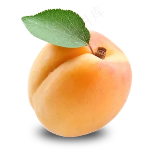 桃子免抠图片