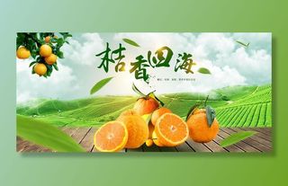 新鲜水果电商banner电商首页海报主图电商banner香蕉芒果脐橙详情