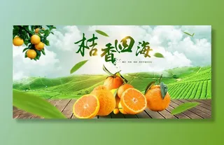 新鲜水果电商banner电商首页海报主图电商banner香蕉芒果脐橙详情