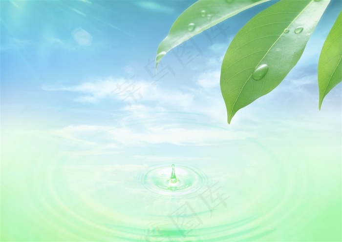 高清绿叶和水滴图片