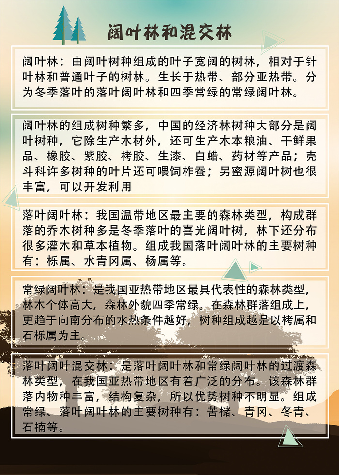 地球之肺森林知多少海报