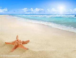 唯美清凉夏季海滩景色