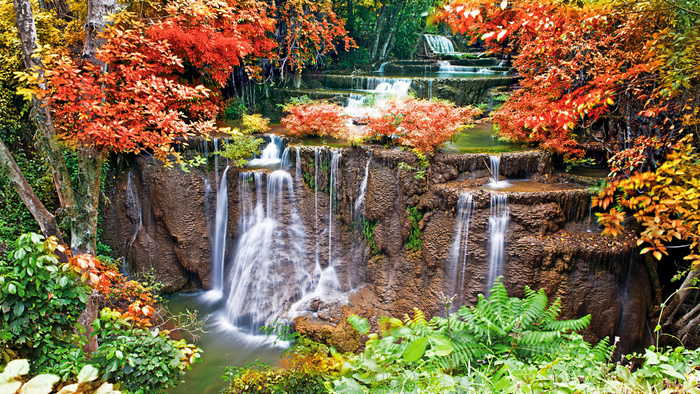 风景画 绿地风景 自然风景画 花树 