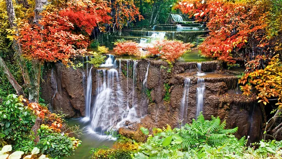 风景画 绿地风景 自然风景画 花树  风景画 绿地风景 自然风景画 花树