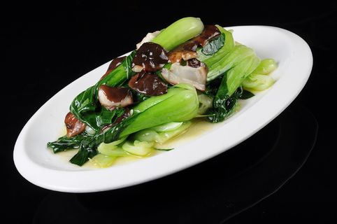 香菇青菜18