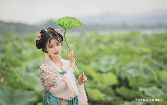 唯美荷叶边古装汉服美女图片