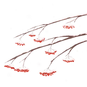 冬天冬至果子树枝