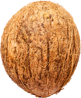 01_Coconut