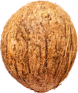 01_Coconut