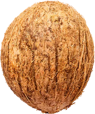 01_Coconut