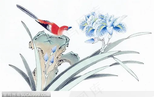 工笔画—兰花 工笔画—兰花