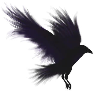 乌鸦卡通剪影