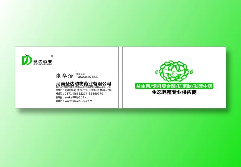 高中档名片卡片单页海报设计印刷cdr矢量模版下载