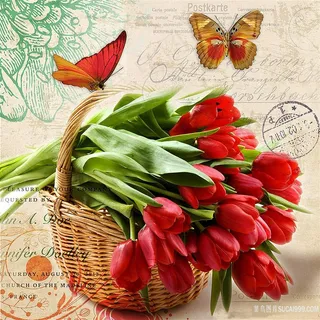 欧式蝴蝶花朵装饰画