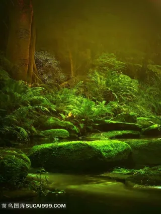 高清魔幻森林图片下载