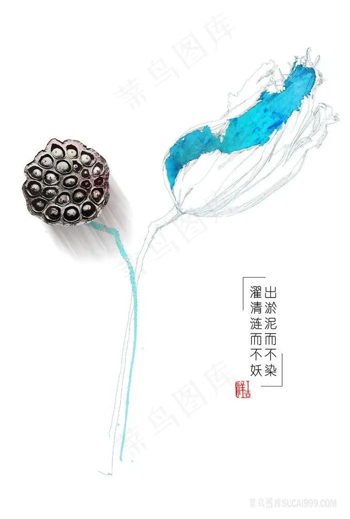 高清莲花手绘插画
