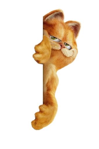 猫加菲猫 PNG免抠(700x1050)