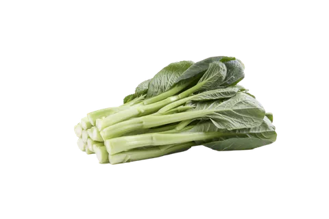 小洋洋素材 (26)超市商品白底图免抠实物摄影png格式图片透明底